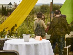 Festival Mar de Tethys 2026 - Bodega Vetas